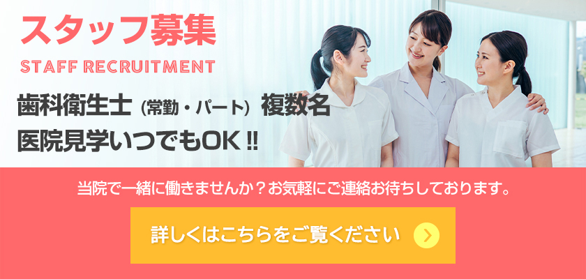 スタッフ募集