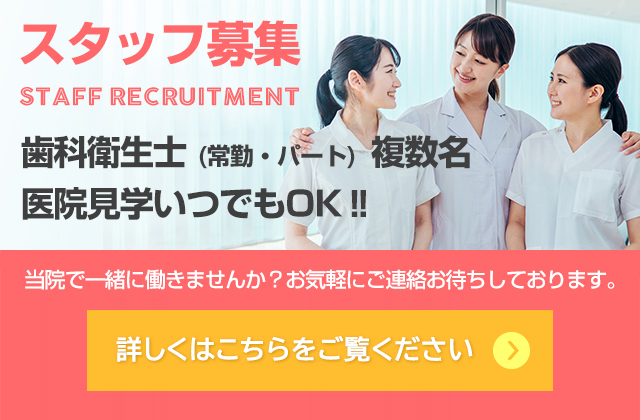 スタッフ募集